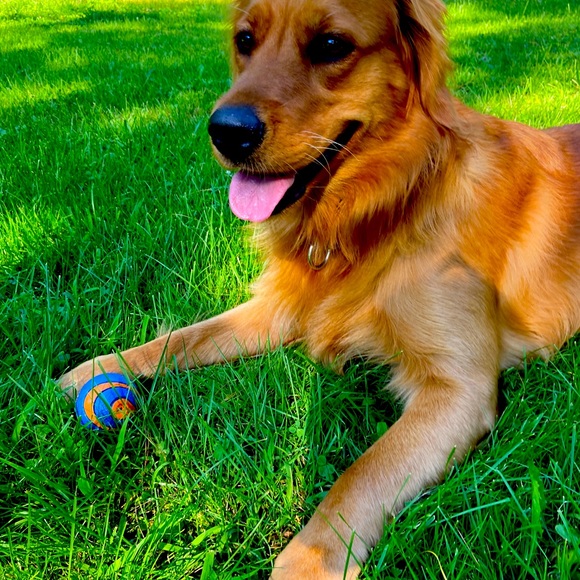 Meet me๐๐ - Picture 5 of 7